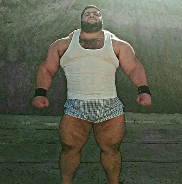 Sajad Gharibi, le "Hercule" en vie réelle qui pèse plus de 150 kgs