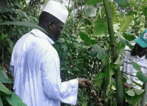 Les dernières nouvelles de Yahya Jammeh en Guinée Équatoriale (photos)