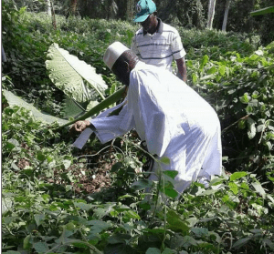 Les dernières nouvelles de Yahya Jammeh en Guinée Équatoriale (photos)