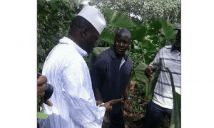 Les dernières nouvelles de Yahya Jammeh en Guinée Équatoriale (photos)