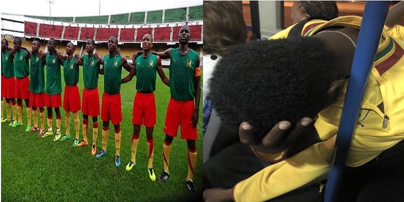 lion_abandonne_a_harare_sn_004_ns_600