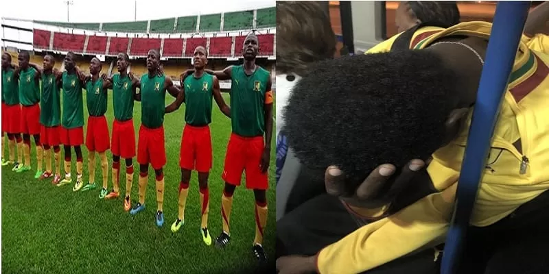 lion_abandonne_a_harare_sn_004_ns_600