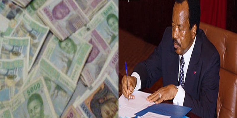 paul_biya_ooo_notes_0123_ns_500