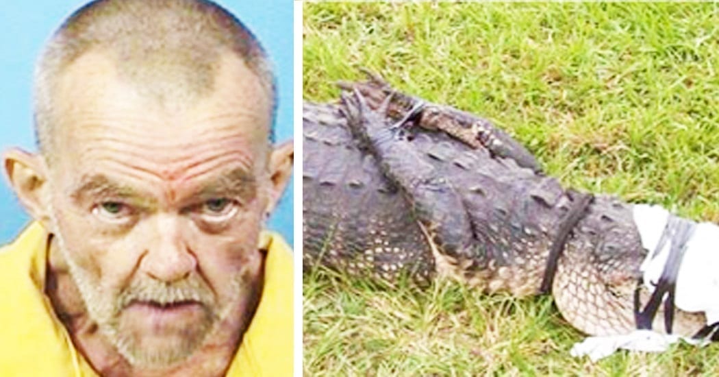123-florida-man-arrested-for-having-sex-with-an-alligator