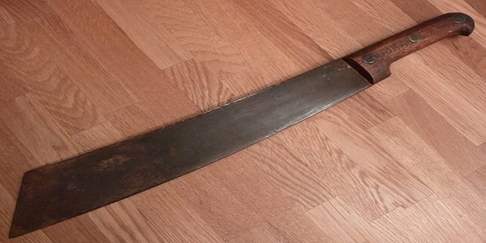 elle decoupe son fils