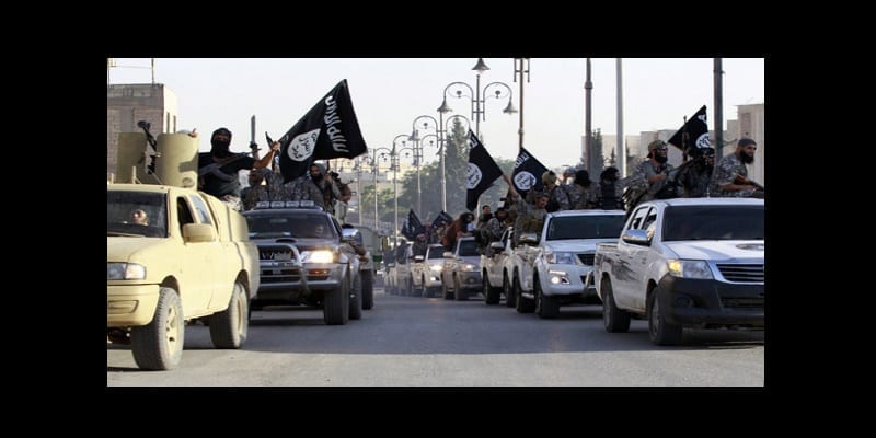 8579728-13517700 (1)