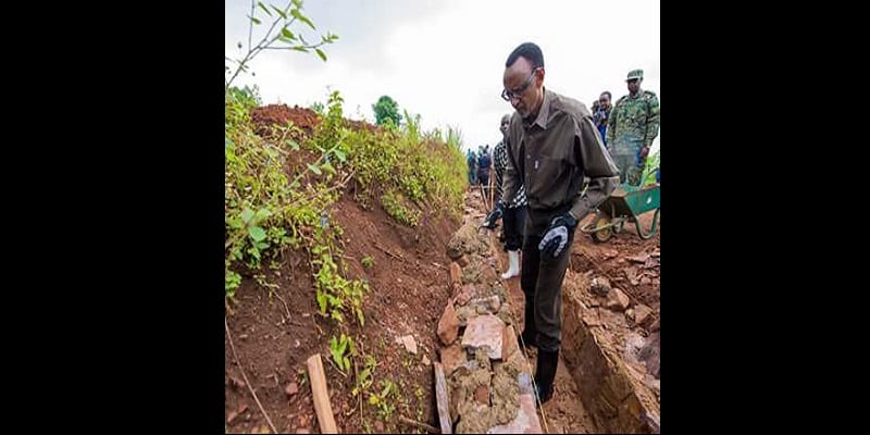 13076541_1173209872713648_1491137119479275239_n