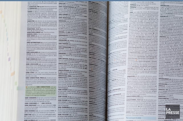 1010020-page-dictionnaire