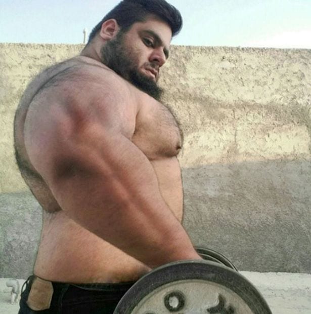Sajad Gharibi, le "Hercule" en vie réelle qui pèse plus de 150 kgs