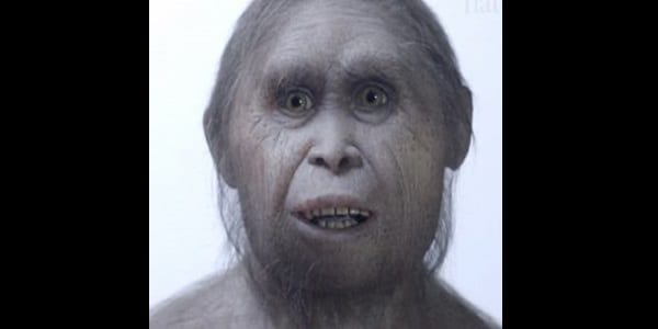 a21129e77da1ba9bd01ae0a799bdf60dbb55f597