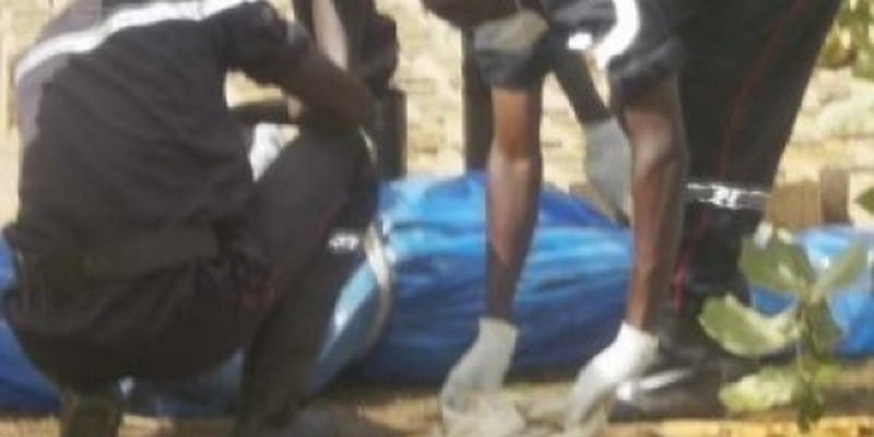 086691ef111fca3ca6a31c7a9844707492e1ce03