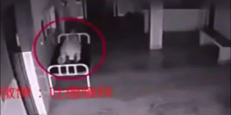 femme-meurt-à-l’hôpital