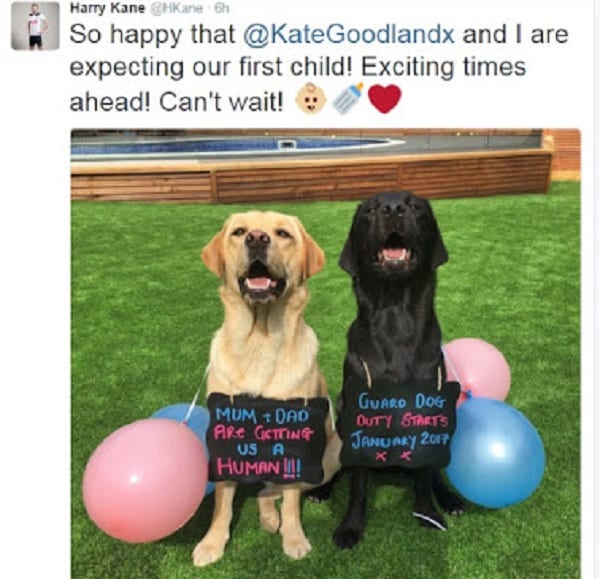 L'attaquant Harry Kane annonce de façon spectaculaire que lui et sa petite amie attendent un enfant: PHOTO