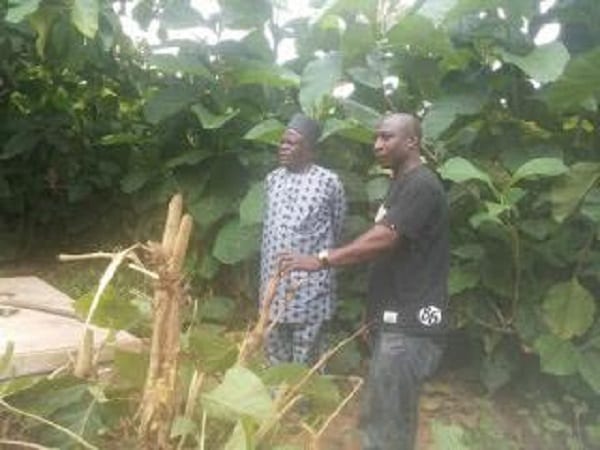 Un homme décédé en 1968 est exhumé pas ses parents pour lui offrir une inhumation digne: PHOTOS