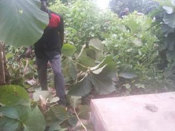 Un homme décédé en 1968 est exhumé pas ses parents pour lui offrir une inhumation digne: PHOTOS