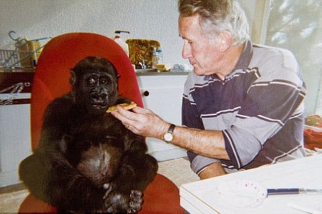 Les Thivillion, le couple français qui vit depuis 18 ans avec une guenon: PHOTOS