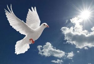 6 raisons que les ivoiriens ne feront plus de crise post électorale dans leur pays