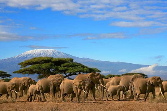 AfrikMag Tourisme : Voici pourquoi vous devez visiter le Kenya 