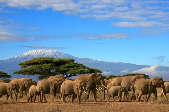 AfrikMag Tourisme : Voici pourquoi vous devez visiter le Kenya