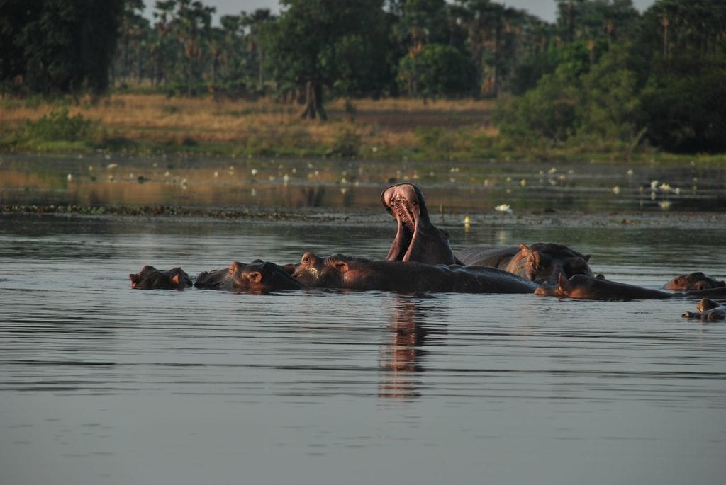 Découvrez le Burkina Faso, le pays des hommes intègres