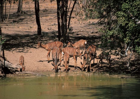 AfrikMag Tourisme : A la découverte du Malawi