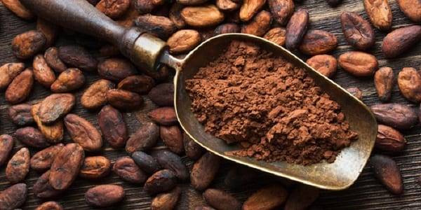 Saviez vous que le cacao possède plus de 5 vertus incroyables pour votre santé