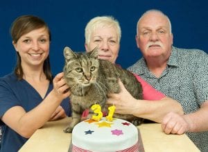Le chat le plus vieux du monde a fêté ses 31 ans