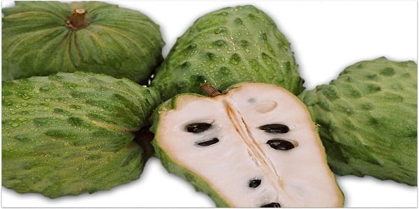 Découvrez pourquoi le corossol est un fruit incroyable