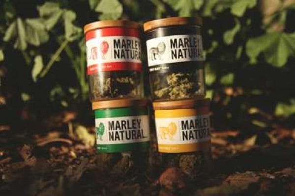 Bob Marley: Son fils Damian va transformer une prison en plantation de cannabis