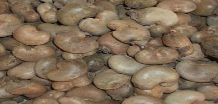 Voici ce qui se passe quand vous consommez de la noix de cajou