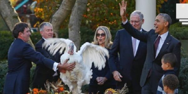 Thanksgiving: Barack Obama gracie deux dindes à la Maison Blanche (PHOTOS)