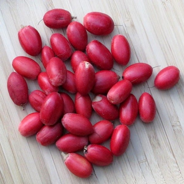 Connaissez vous le fruit miraculeux et son pouvoir extraordinaire