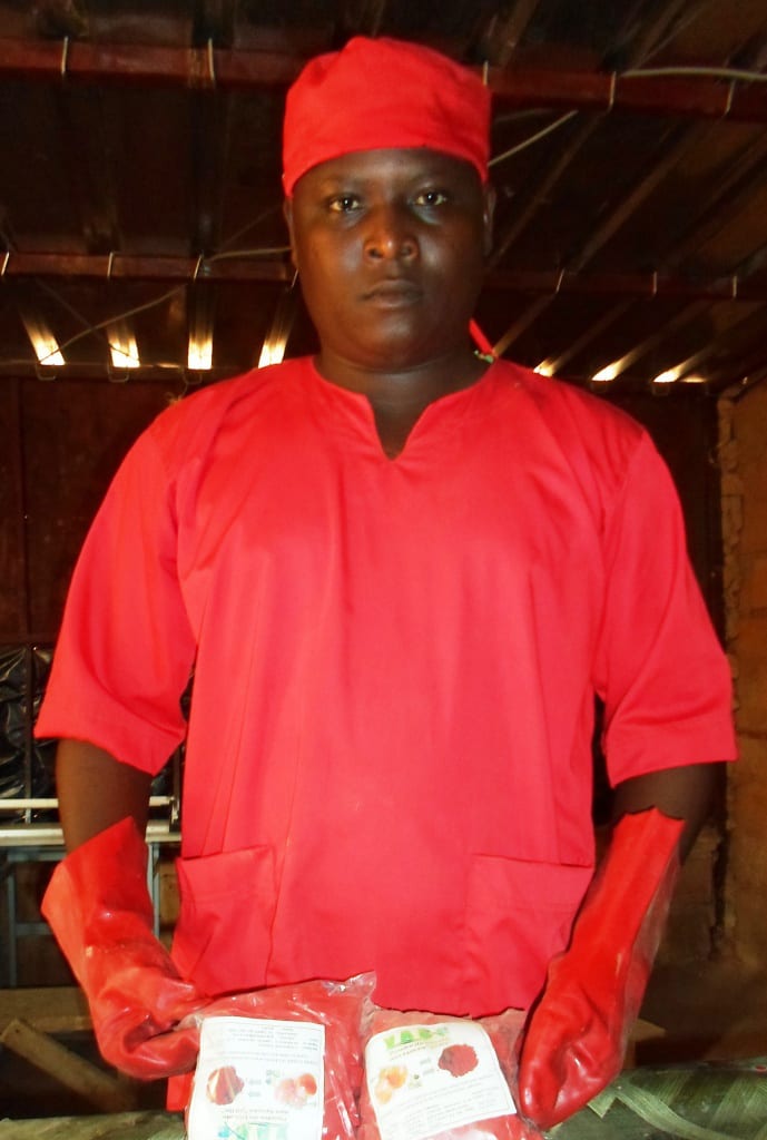 Un nigérien invente un séchoir à charbon minéral qui transforme et conserve la tomate