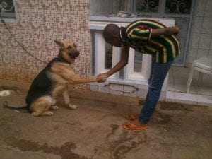 Insolite: Un concept lancé sur la toile pour se moquer d'un ministre de Paul Biya...Photos