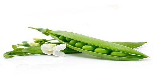 Voici les trésors nutritionnels cachés dans les petits pois