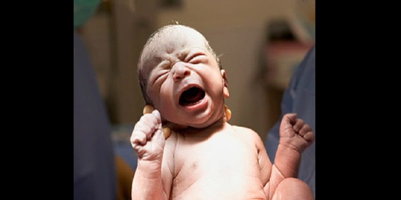 Indonesie Archives Page 2 Sur 4 Afrikmag