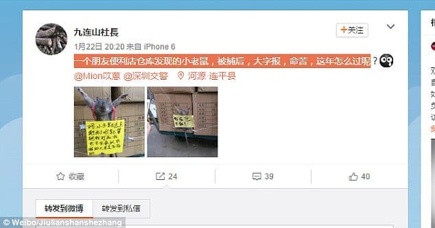 Chine-Insolite: Un rat ligoté et «publiquement humilié» pour avoir volé du riz dans un magasin (PHOTOS)