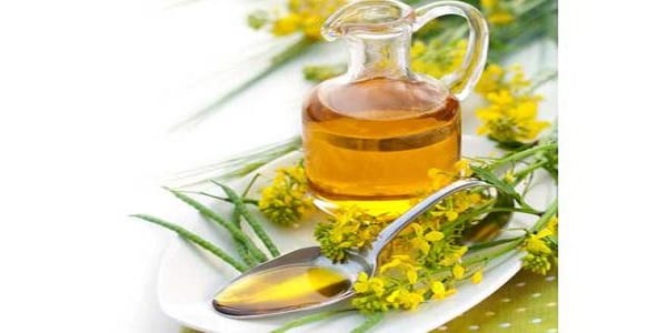 Santé : Consommez des graisses pour votre bien-être