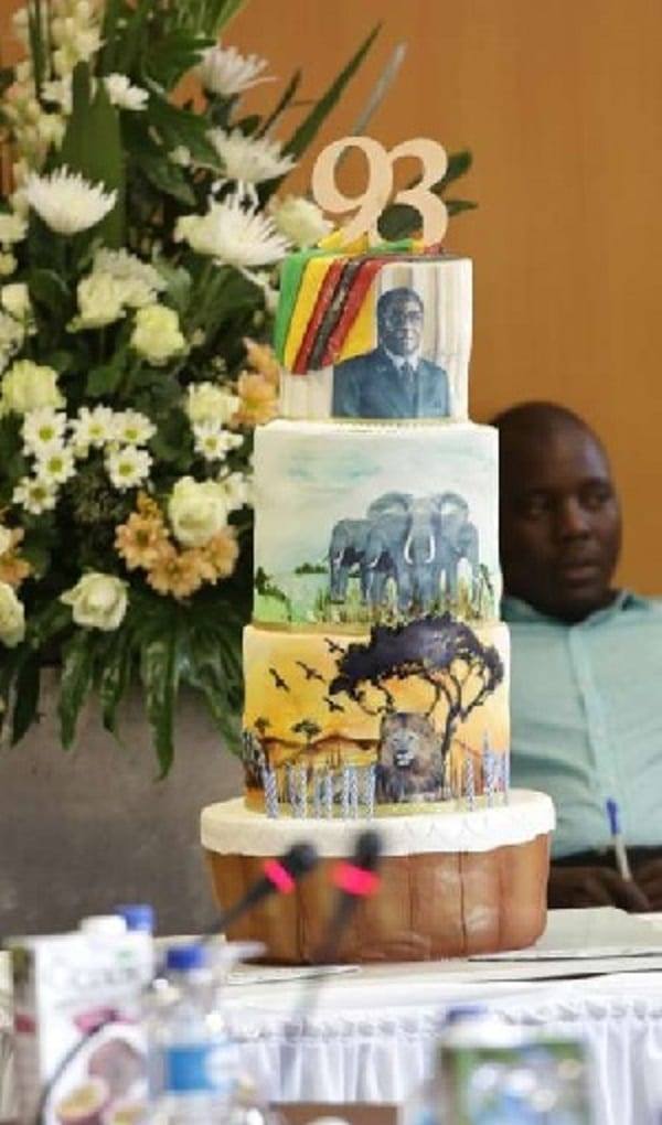 Découvrez en photos la célébration de l'anniversaire des 93 ans du président Robert Mugabe