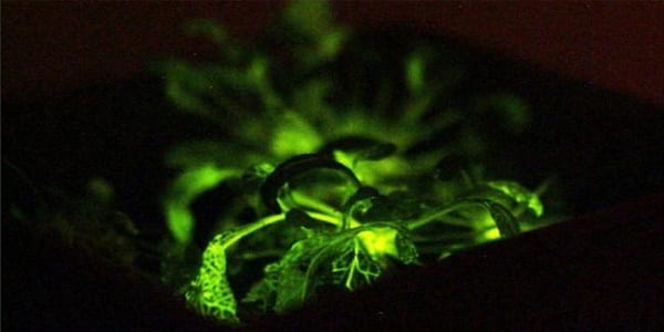 Technologie: découvrez le Top 5 des inventions qui vont vous faciliter la vie