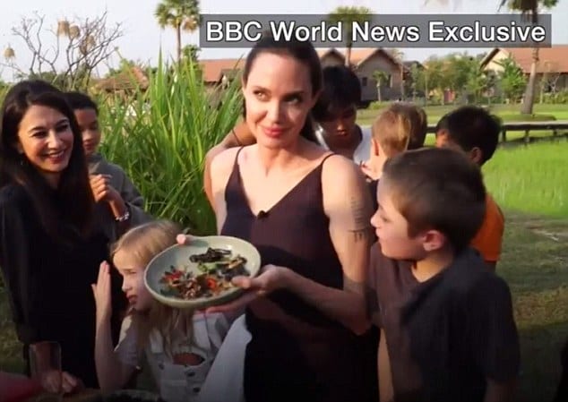 Angelina Jolie et ses enfants mangent des scorpions et des araignées au Cambodge: PHOTOS