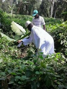 Les dernières nouvelles de Yahya Jammeh en Guinée Équatoriale (photos)