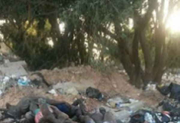 Des migrants africains froidement tués en Libye