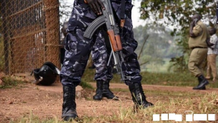 pix_1490503320e044200_1