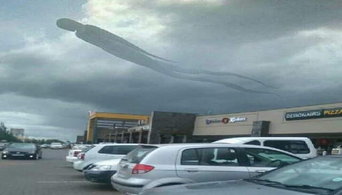 zambie-forme-humaine