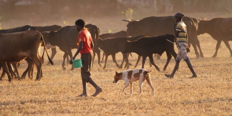 sipa_ap21748226_000004-1-592×296