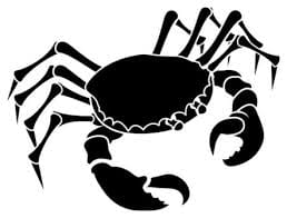 Découvrez les 4 signes du zodiaque les plus fidèles en amour