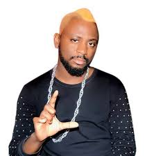 Show-biz : découvrez la liste des chanteurs ivoiriens nominés aux Afrimma 2017. (Photos)