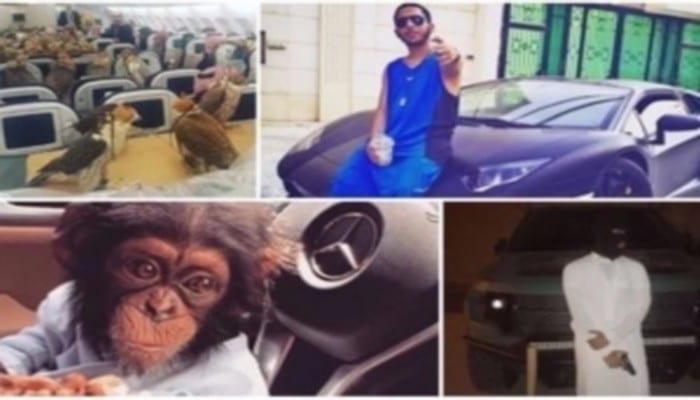 vllkyt513lgfpa9nt.r300x200.17fb3a76