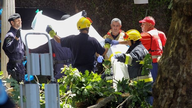 Portugal: un arbre âgé de 200 ans tombe et tue 11 personnes (VIDÉO/ PHOTOS)